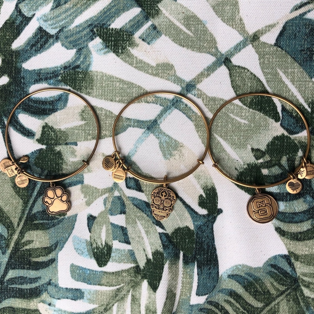 Alex and Ani bracelets Skull, Paw Print, NC State